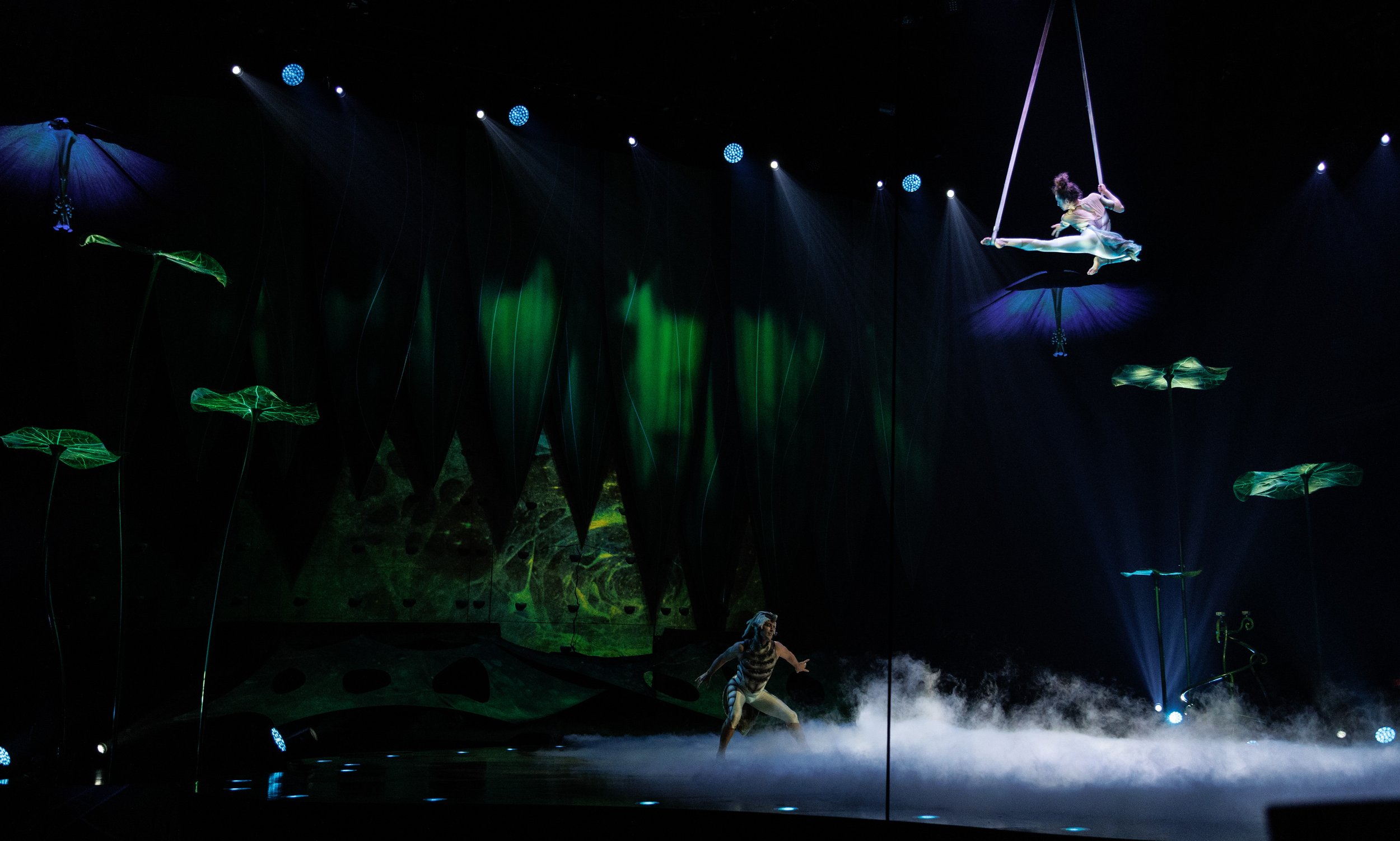 OVO / Cirque du Soleil