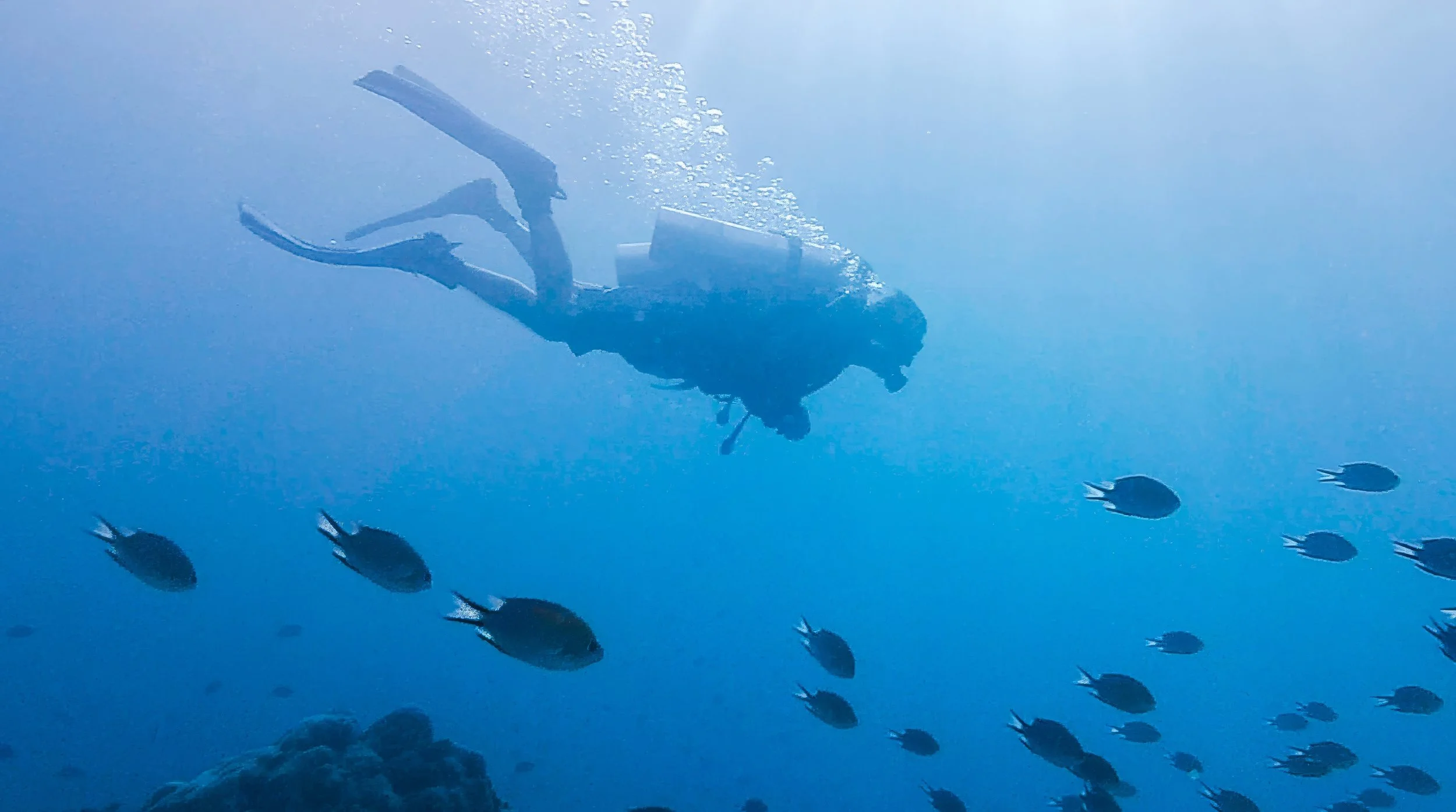 -aiScreenshot 2025-03-26 at 10.03.40 PM-1lowerres1700_pix-sharpen-denoise-upscale-1.7x.jpeg