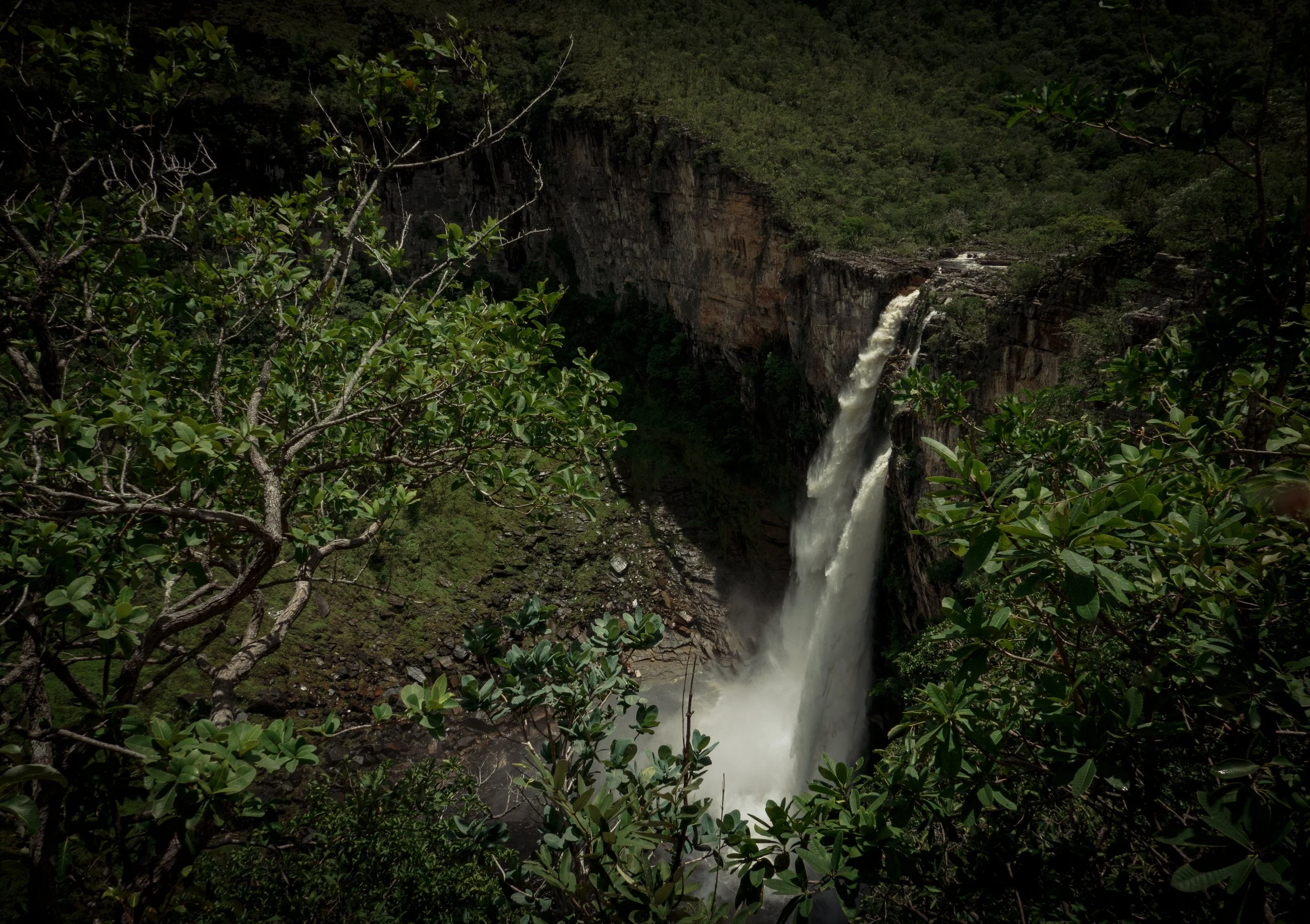 DSC05026-1HIGHRES light.jpg.jpg