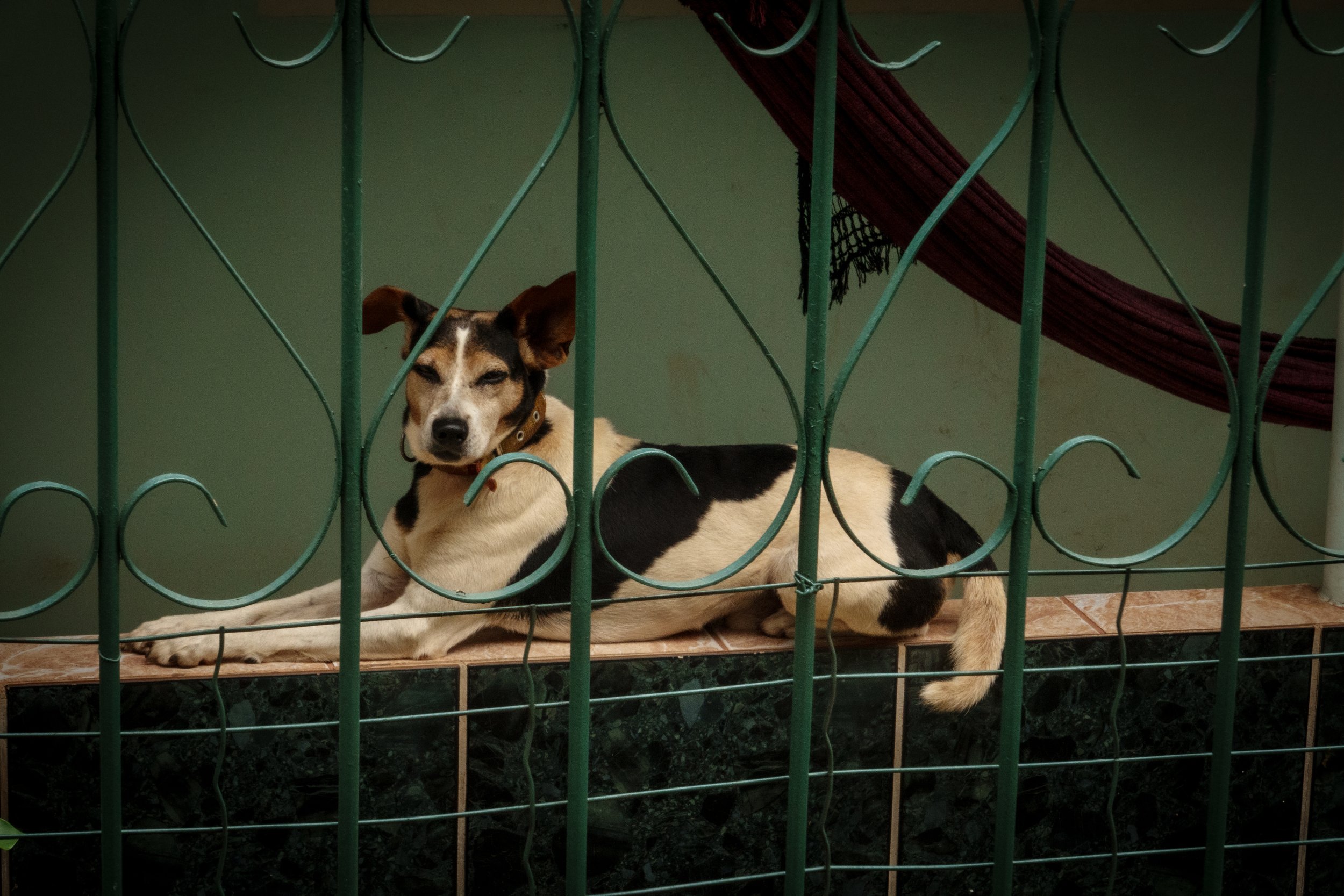 DSC05281-1HIGHRES light.jpg.jpg