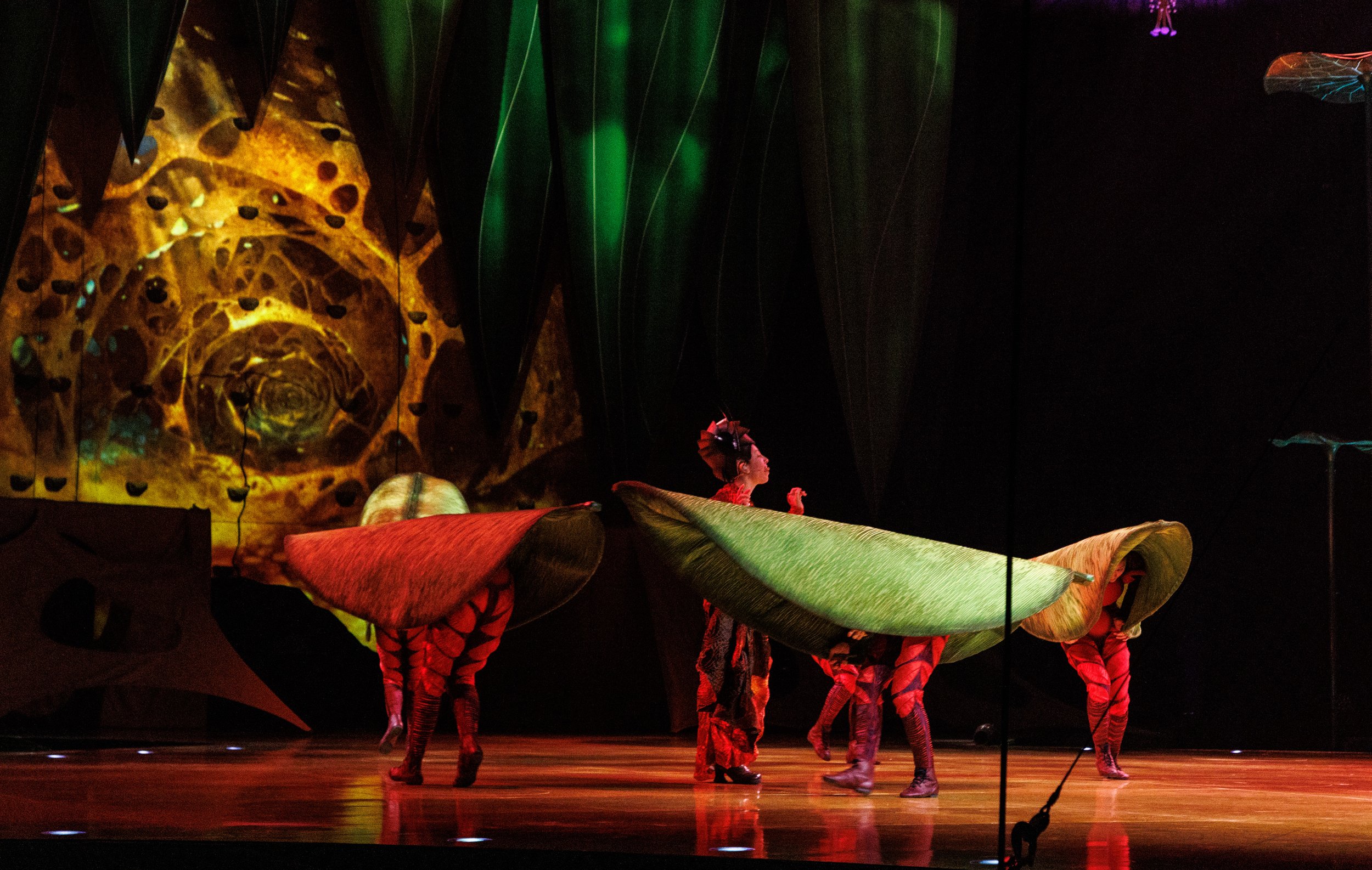 OVO / Cirque du Soleil