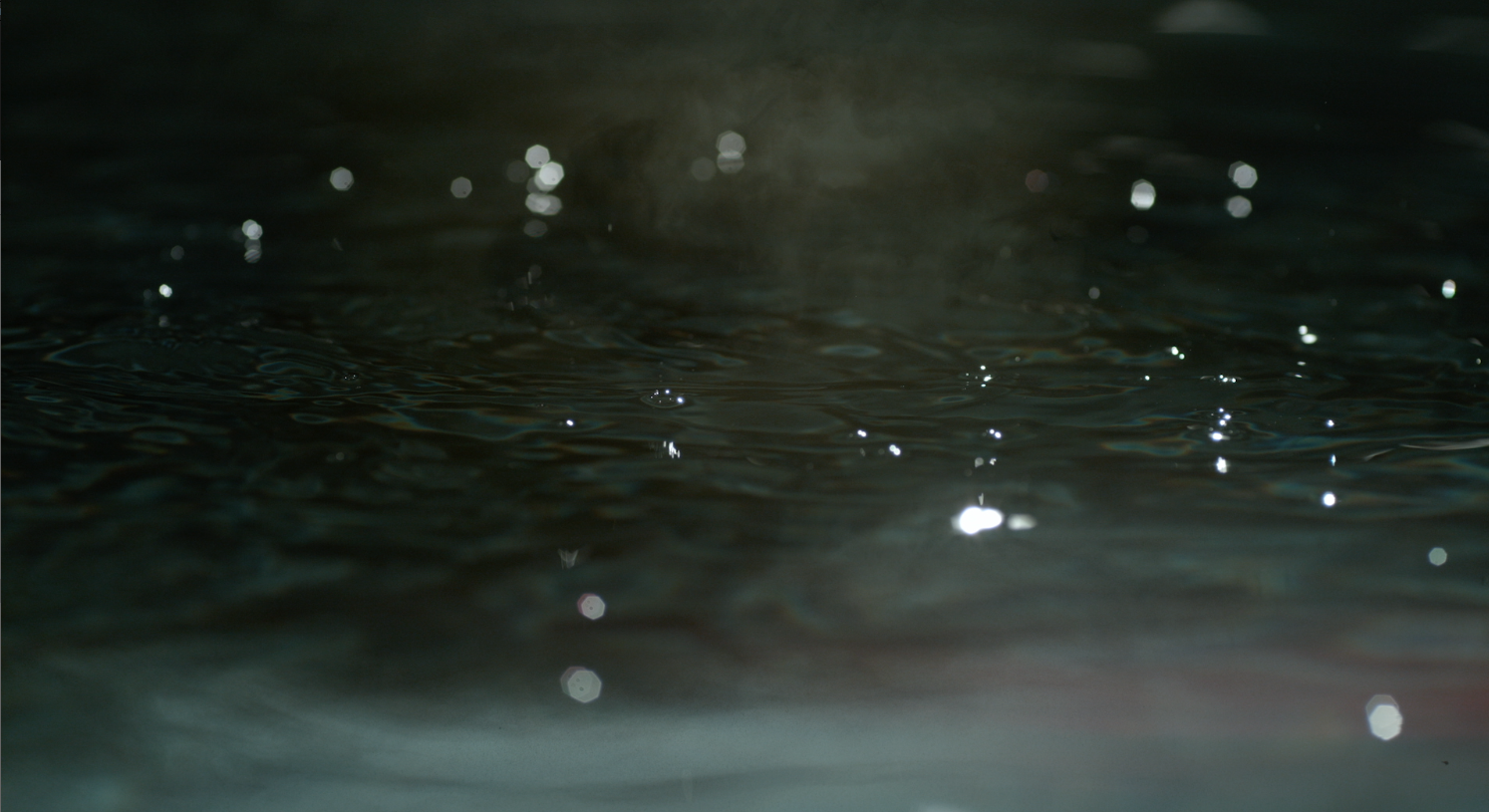 THE DARK GLOW / Mindroots