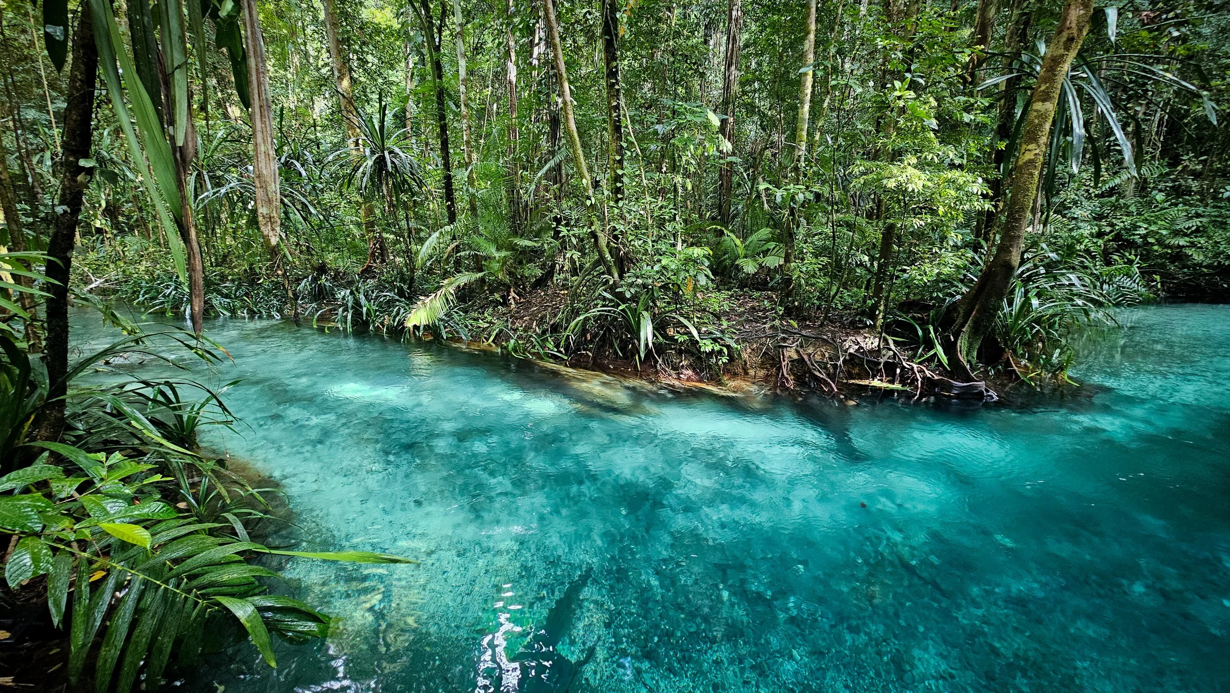 Raja Ampat, New Guinea Indonesia