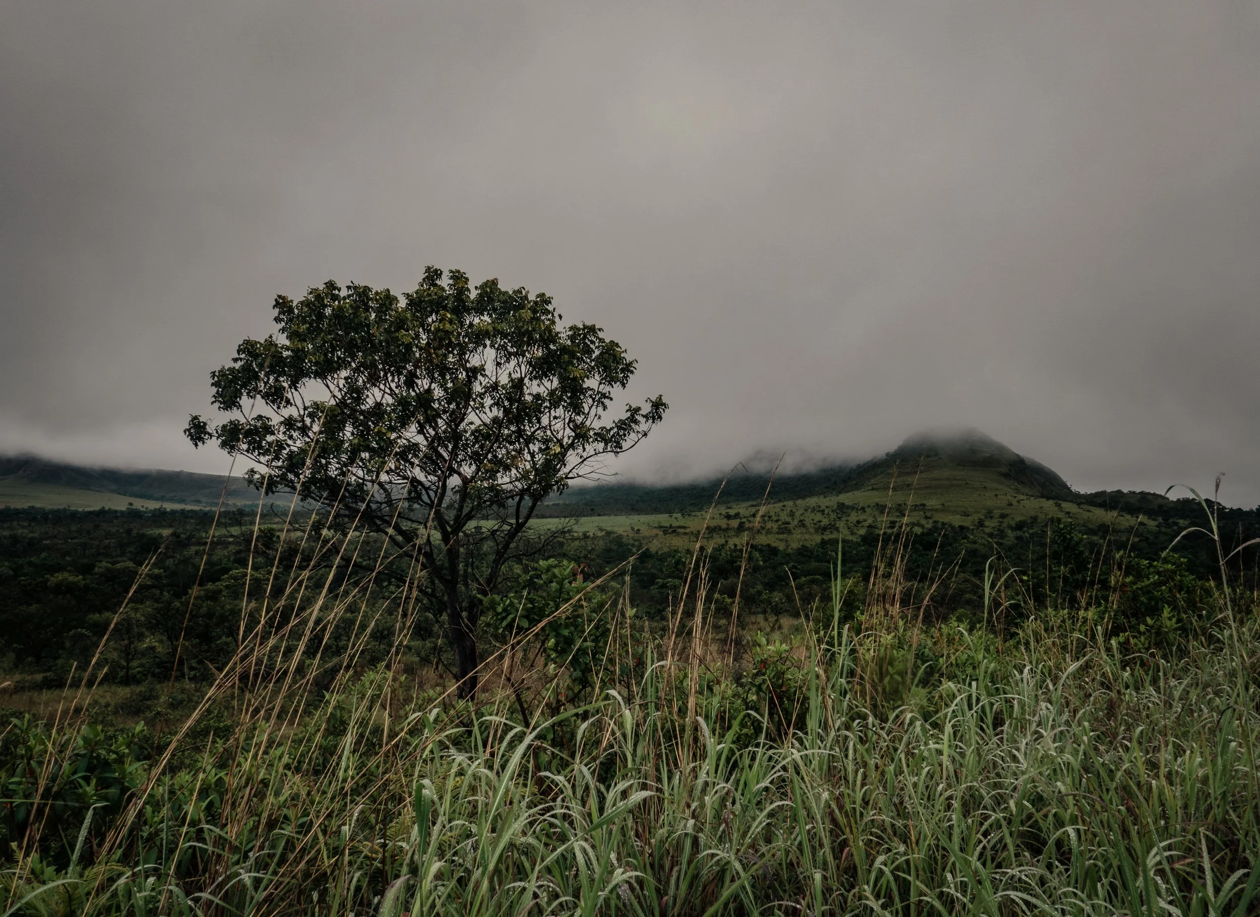 DSC05159-1HIGHRES light.jpg.jpg