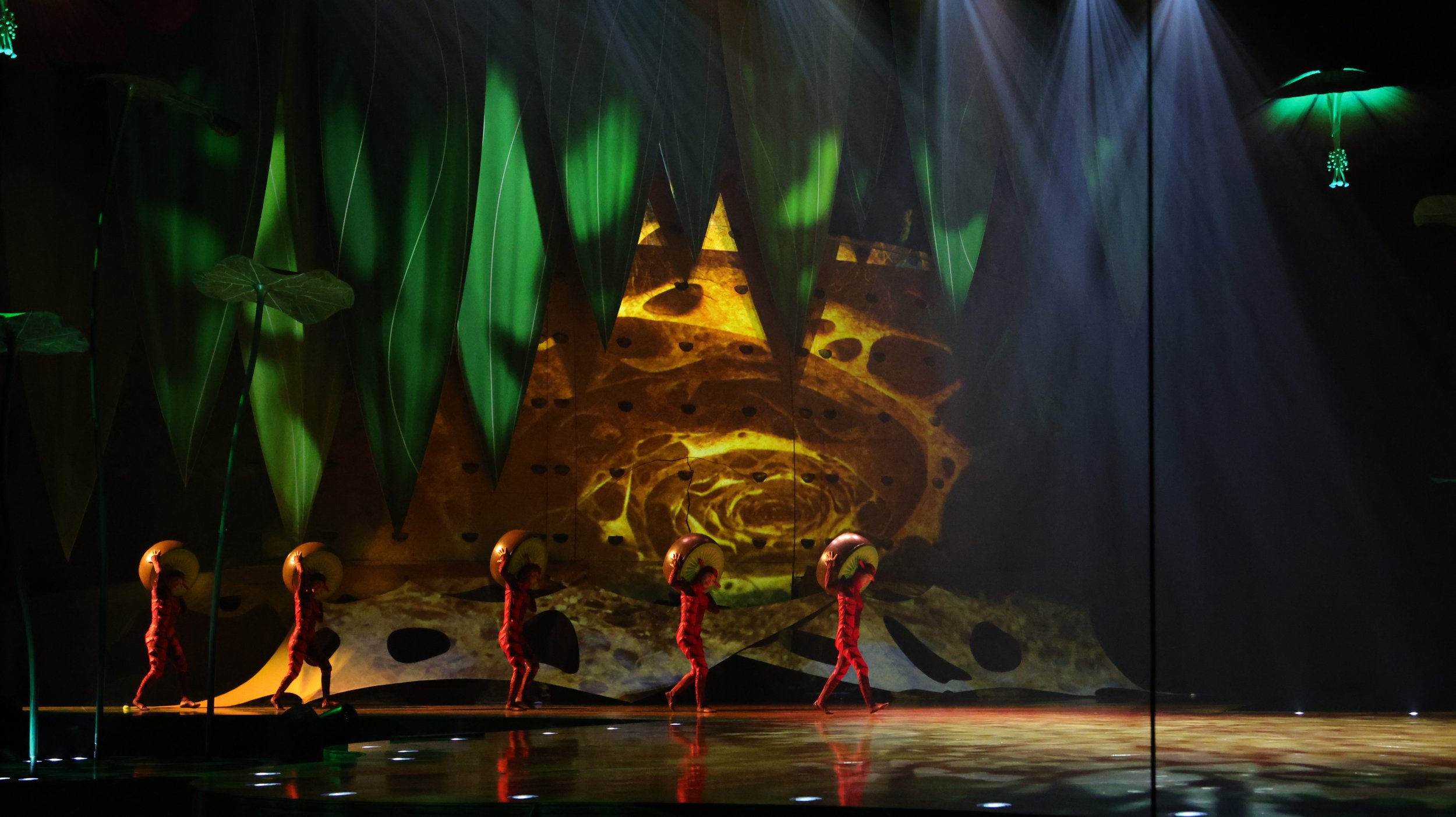 OVO / Cirque du Soleil