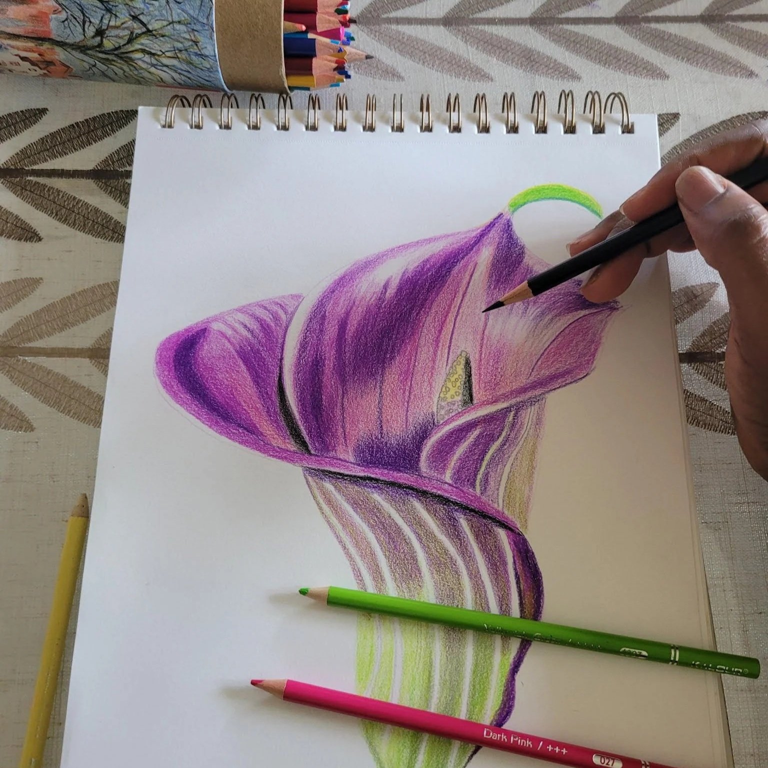 Learn Colored Pencil Sketching