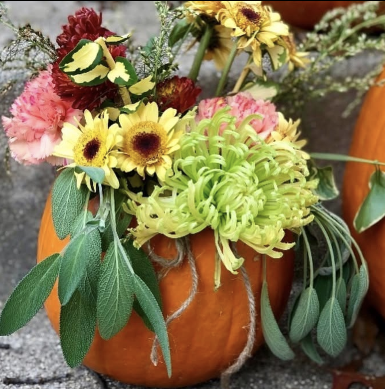 Pumpkin Florals Workshop~—Fritz Farm