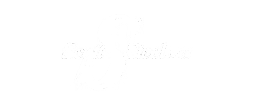 Logo 5