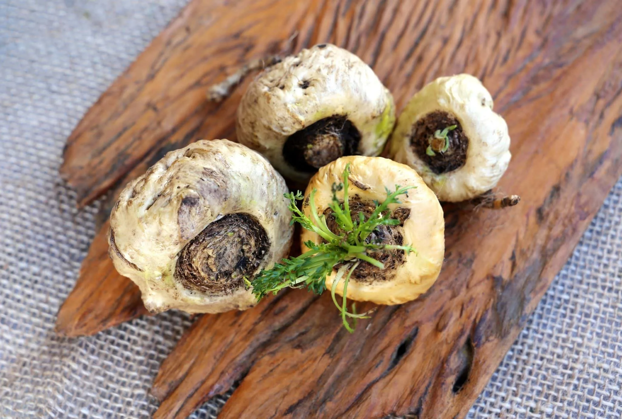Four Fresh Maca Roots on a wooden board, with a small green plant in one of the fruit openings. Ingredient for God's Own Vitality