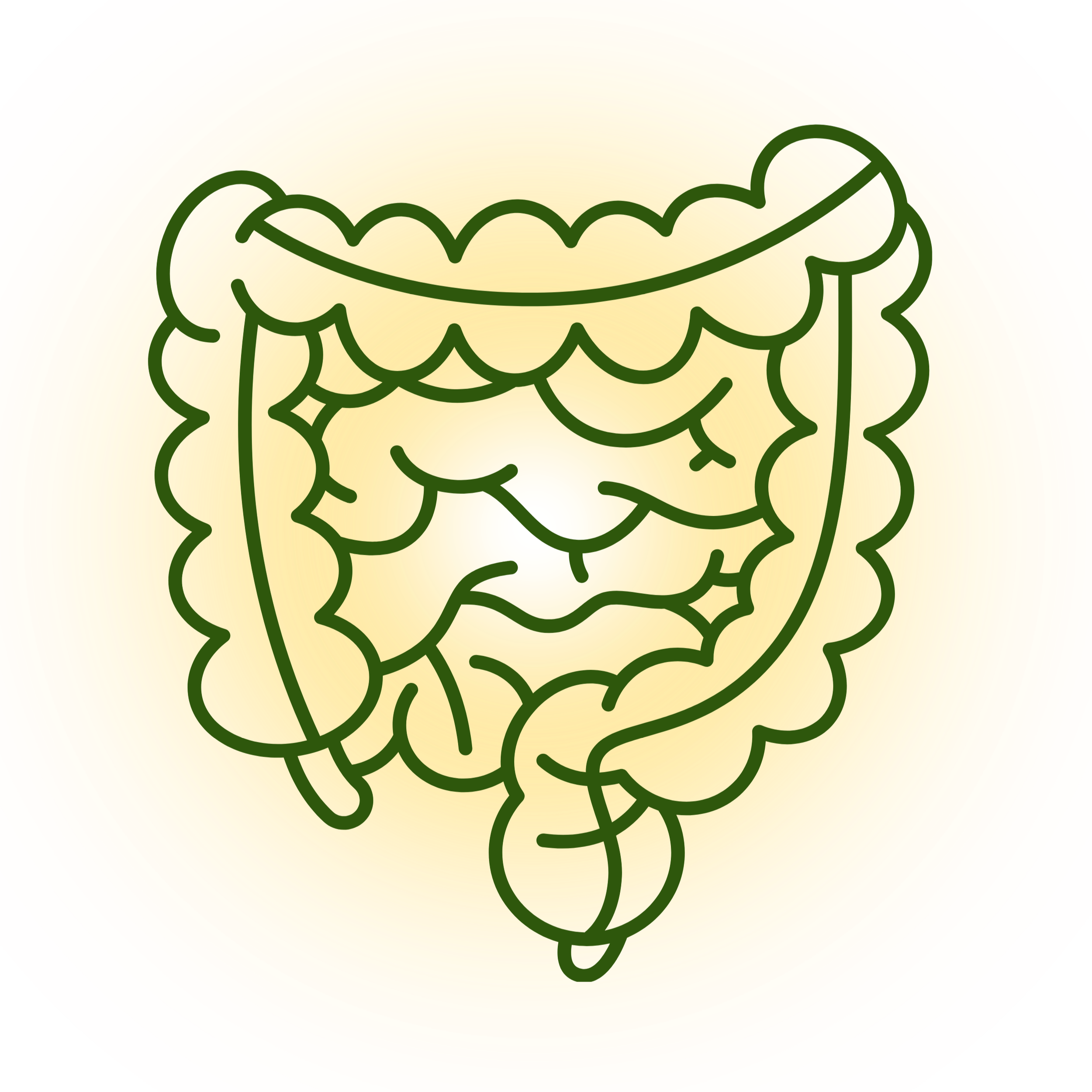 A stylized drawing of a dog's face outlined in dark green with an orange, yellow, and red rainbow-colored background.