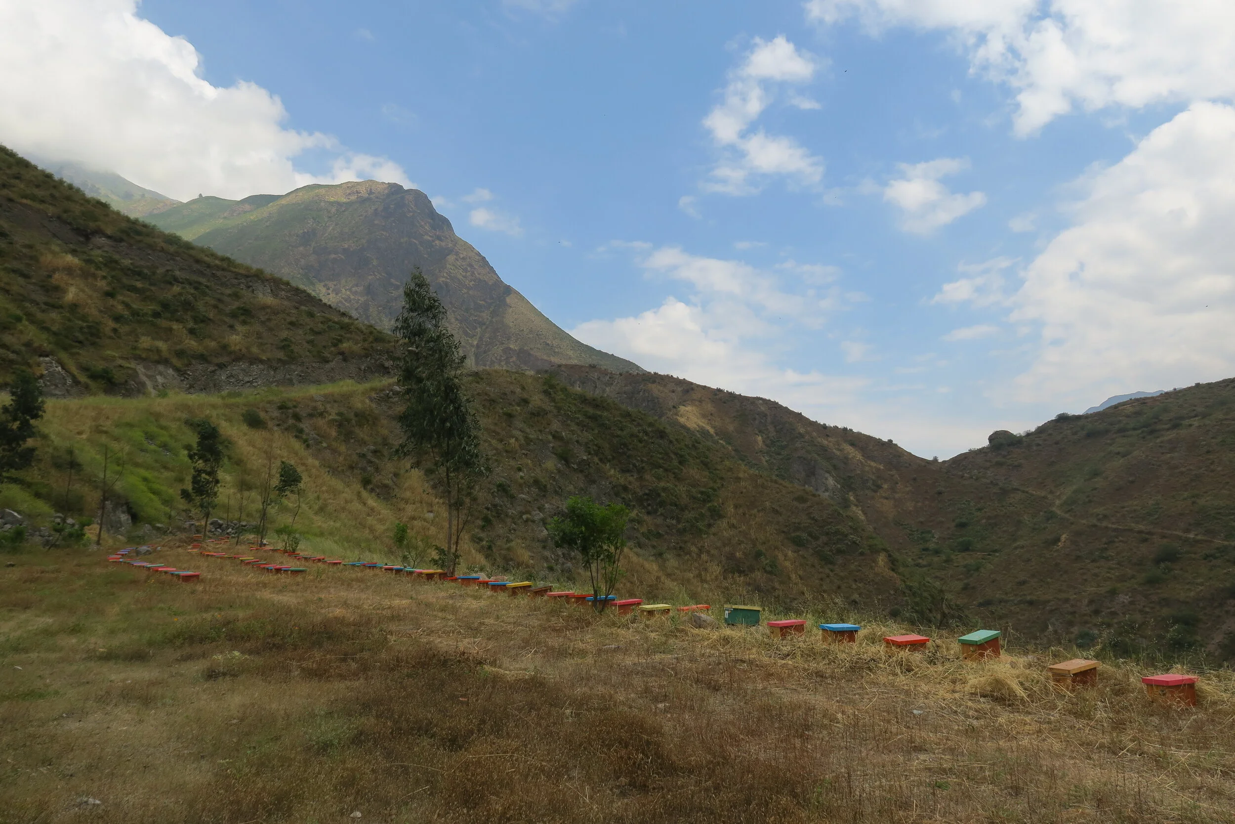 Nature Masters | Camino en cerros con cajas de colores en la pendientes.