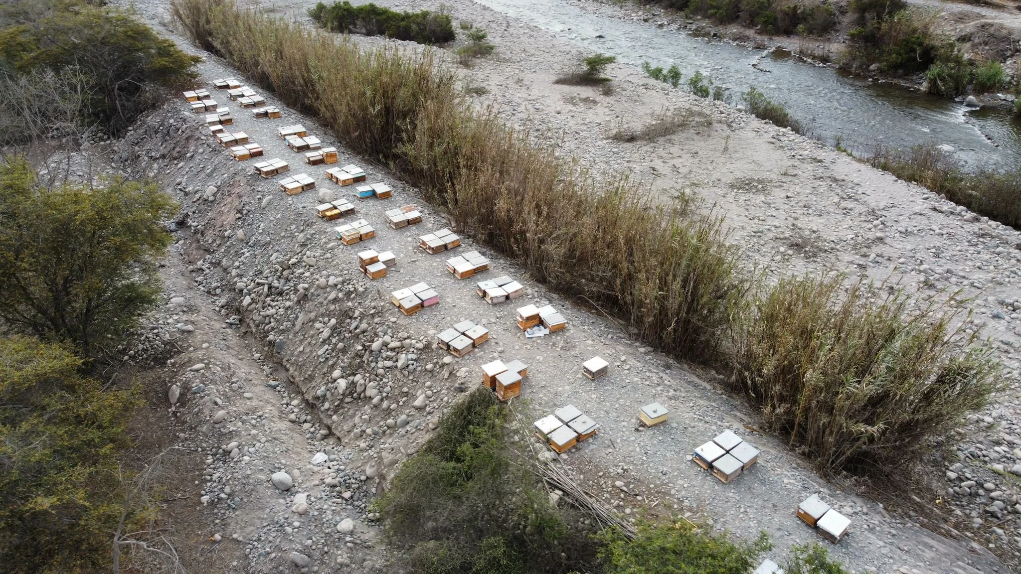 Nature Masters | Camión de cobre en un camino de tierra junto a un río con vegetación.