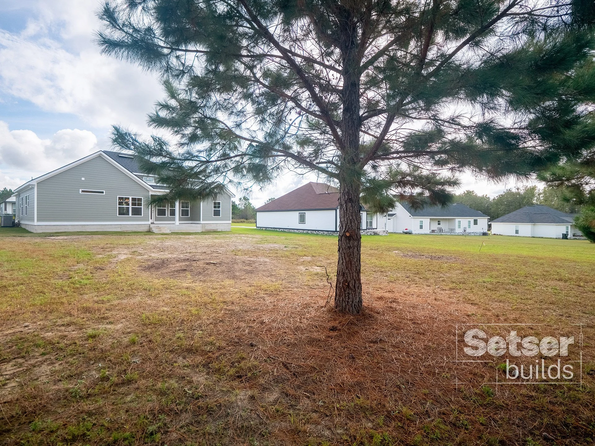 A backyard with a single pine tree in the foreground, surrounded by grass and patches of dirt, with several houses in the background under a partly cloudy sky.