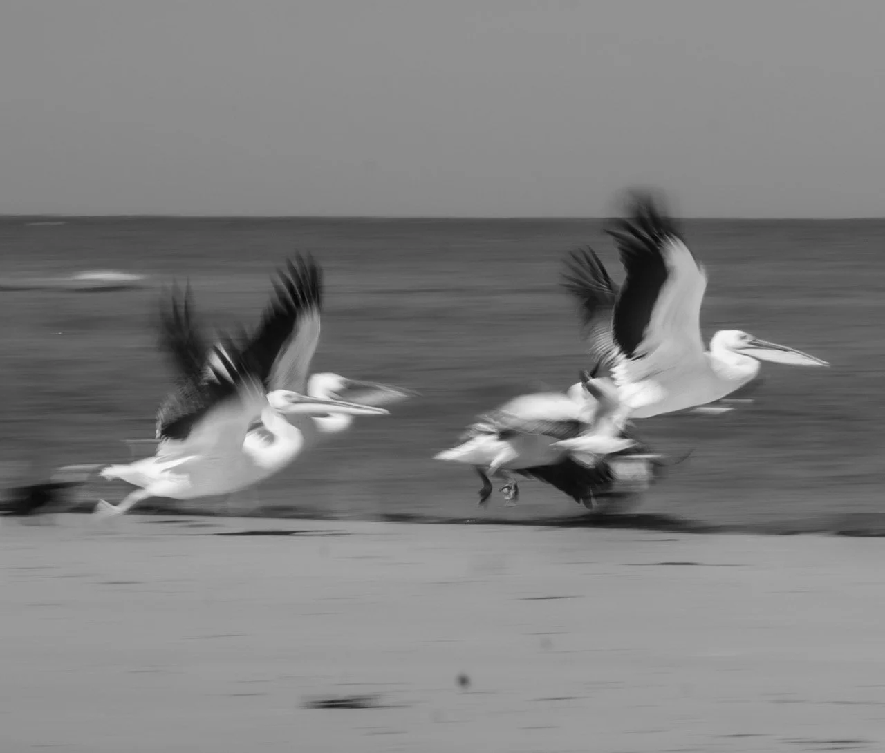 DSC07628-5 Large.jpeg