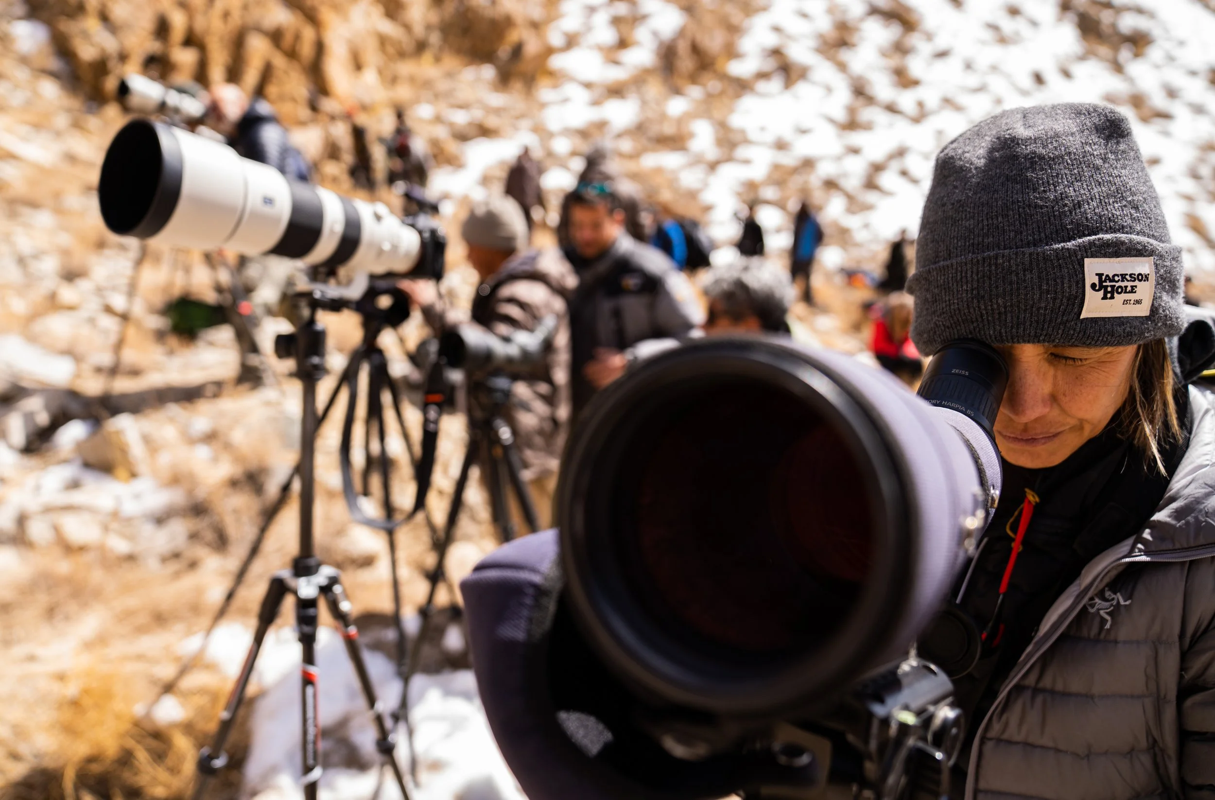 MJC Scope (1 of 1).JPG