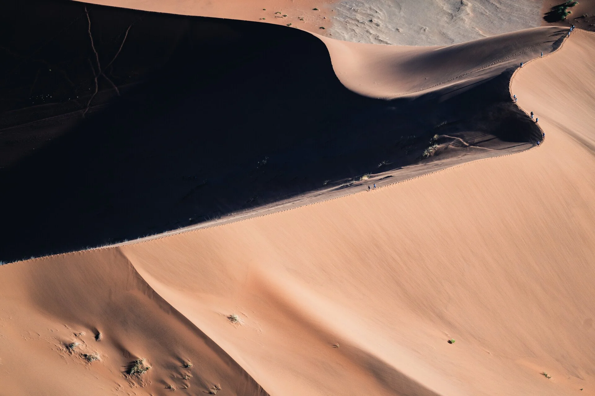 untitled-04458.jpg_compressed.JPEG