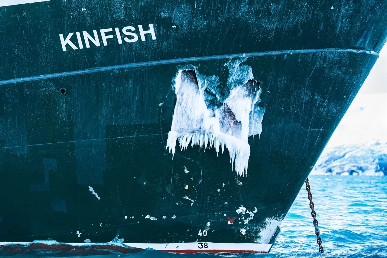 DSC08902-Enhanced-NR Large.jpeg