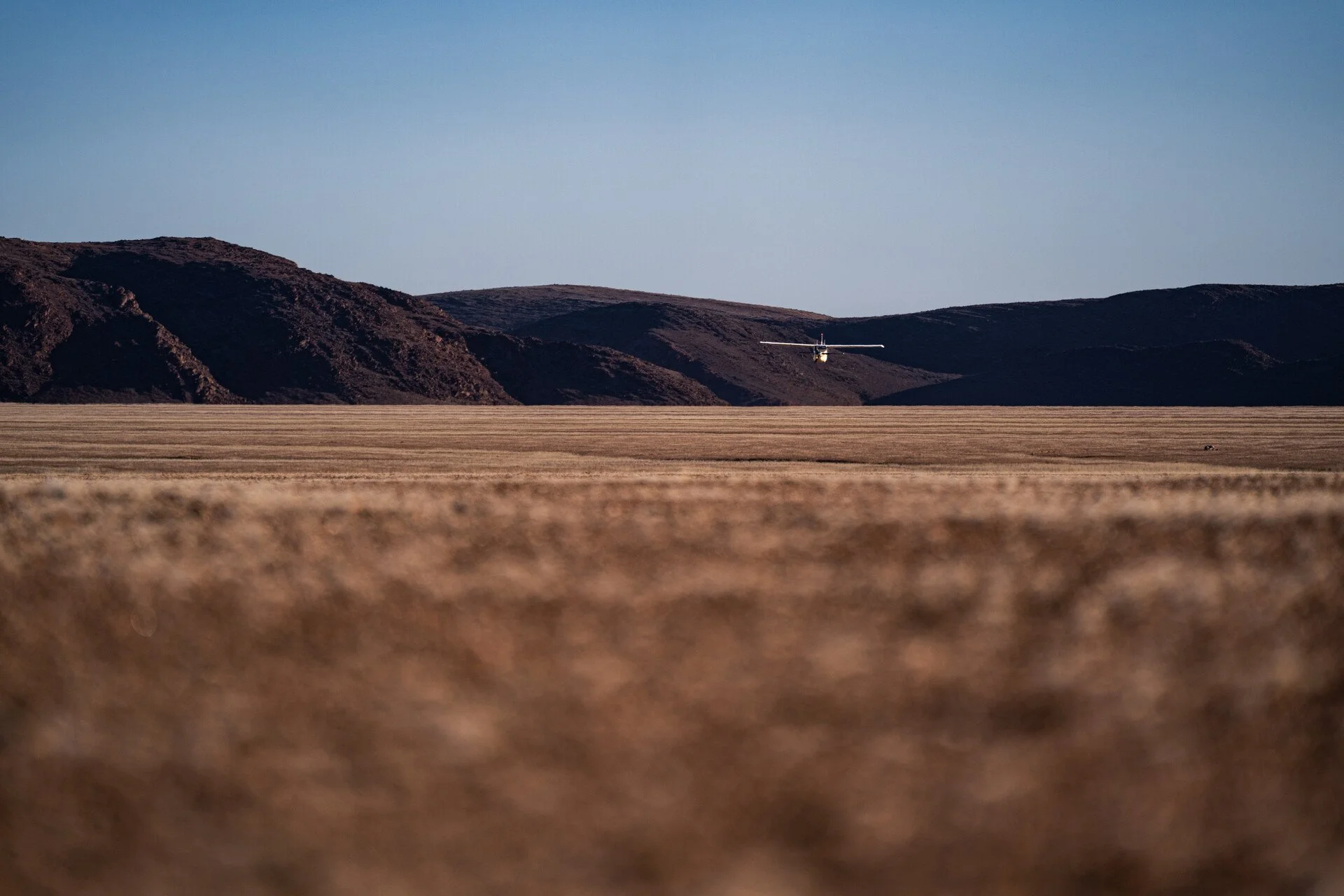 untitled-05449-2.jpg_compressed.JPEG