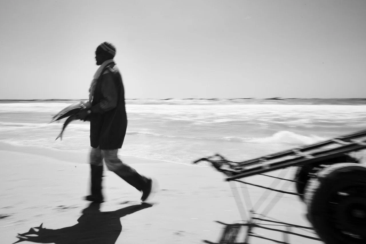 DSC08170-2 Large.jpeg