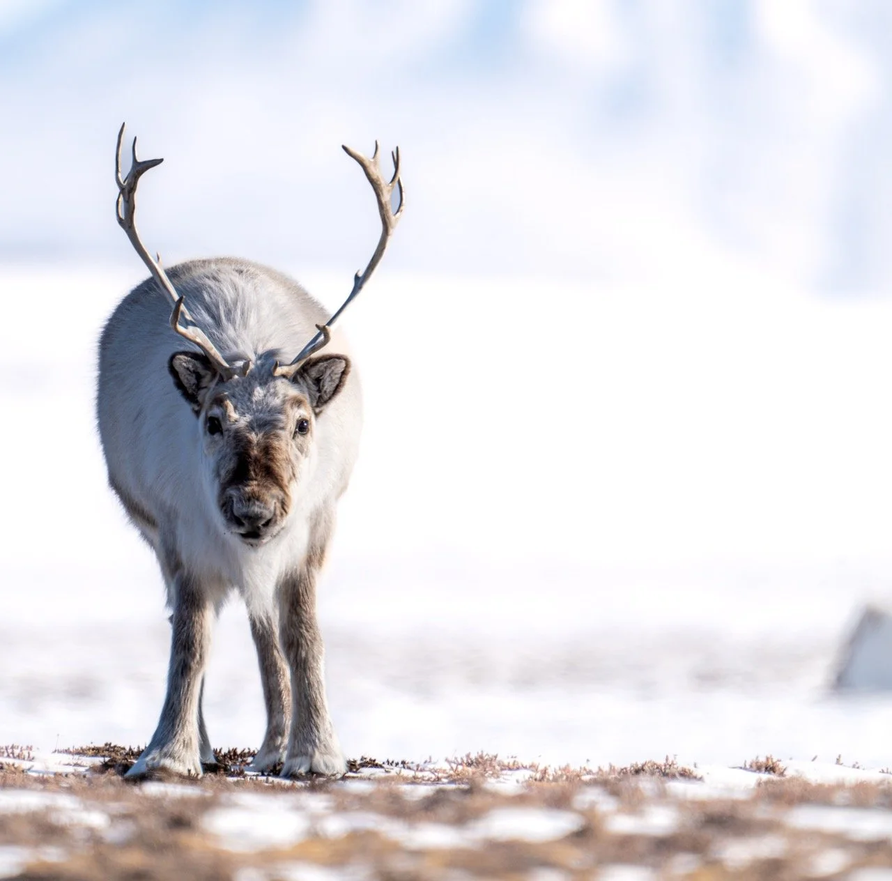 DSC09364-4 Large.jpeg