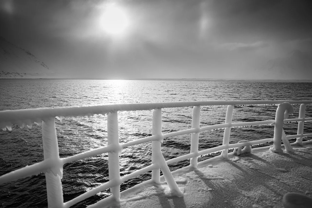 DSC08541-Enhanced-NR Large.jpeg