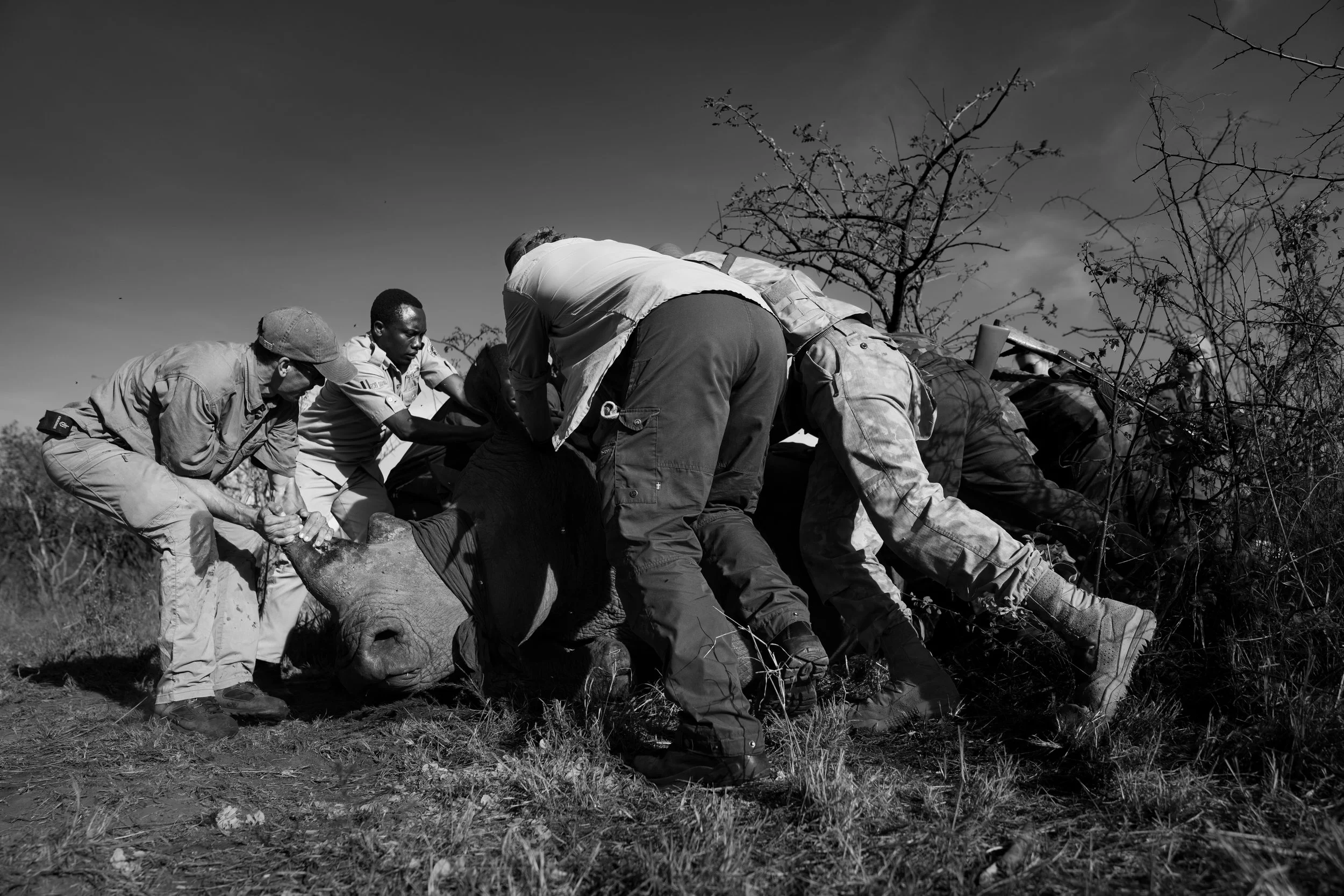 DSC00379-2 rwanda23 by Will B.jpg