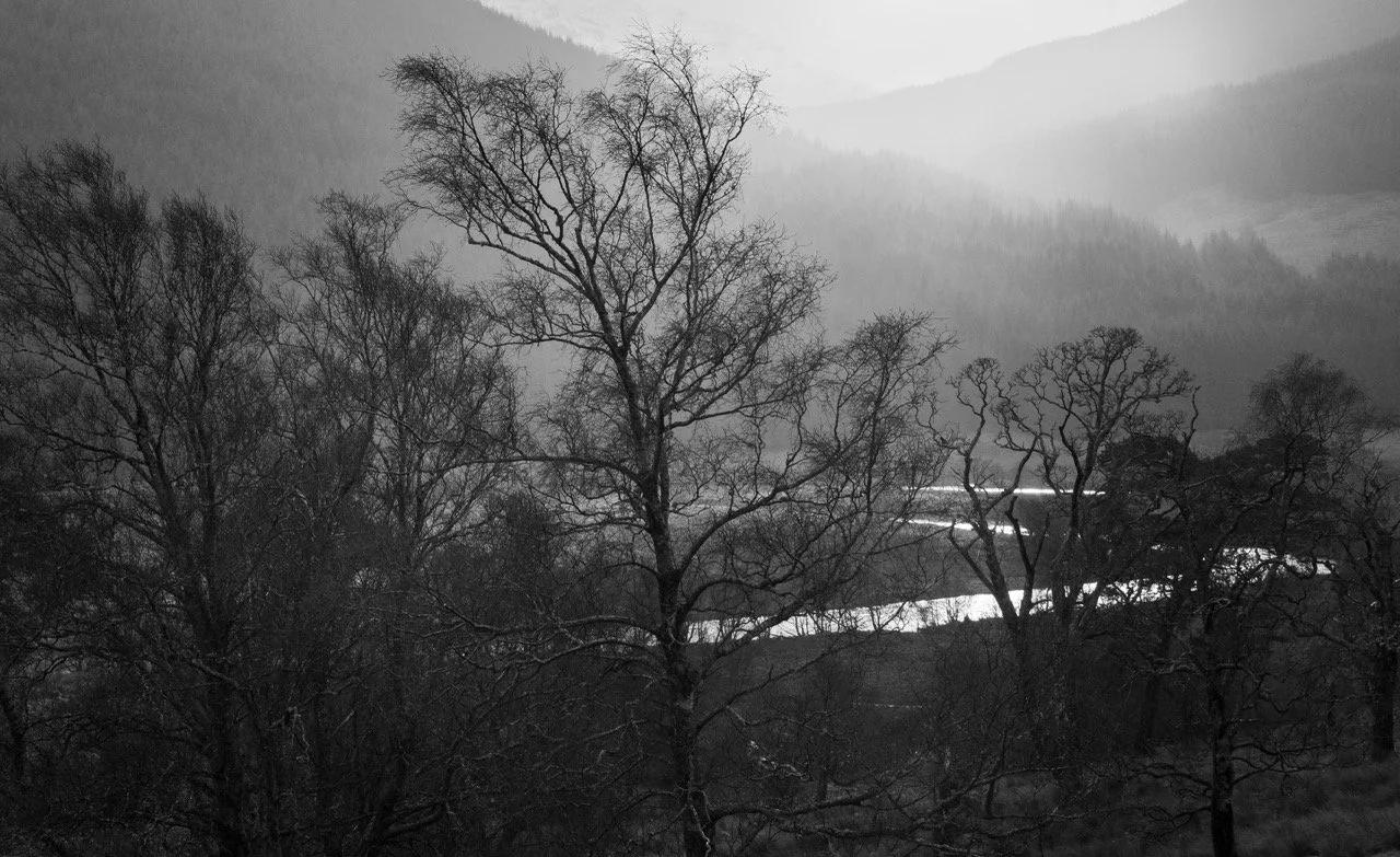 L1000859-2 Large.jpeg