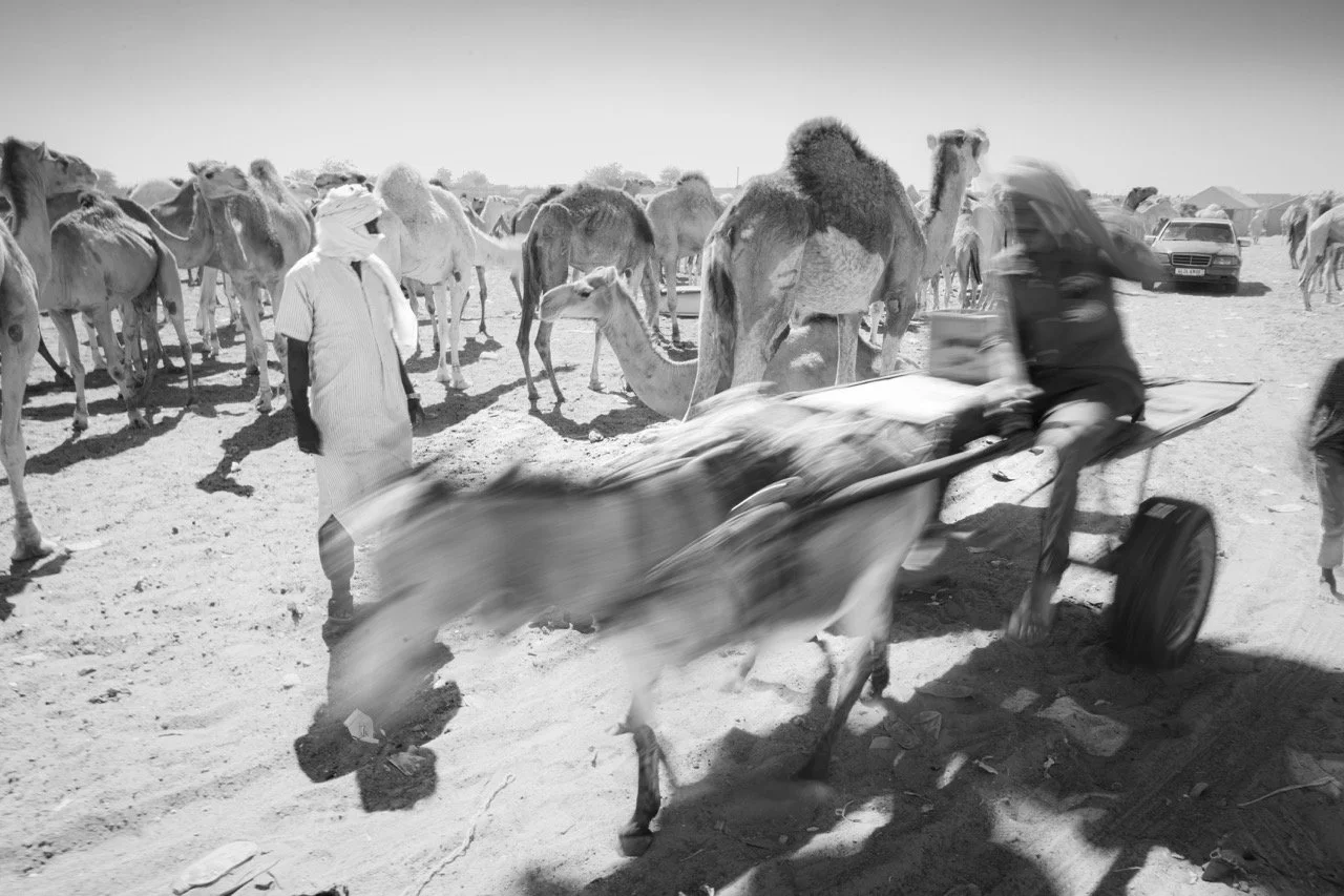 DSC08115-2 Large.jpeg