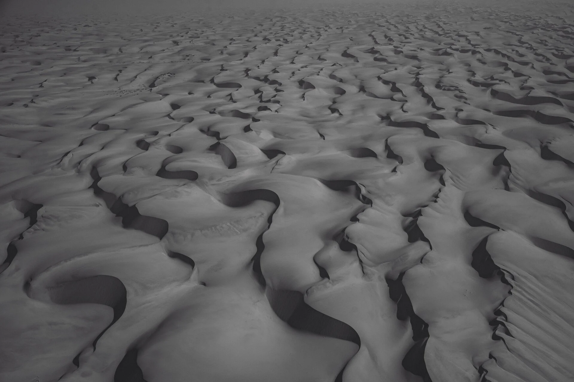 untitled-02723.jpg_compressed.JPEG