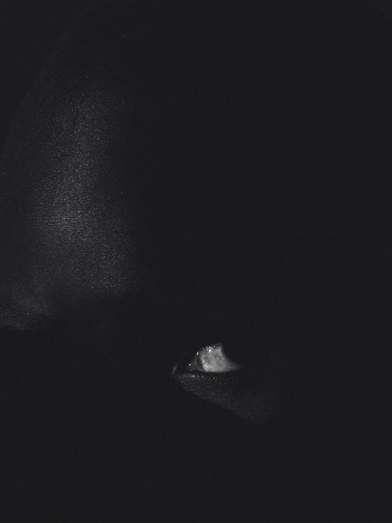 untitled-05035-2.jpg_compressed.JPEG