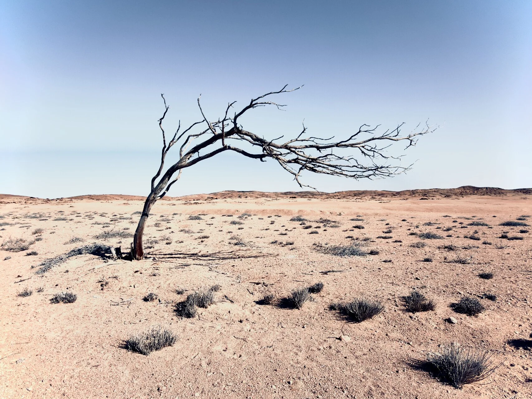 Namibia May'26