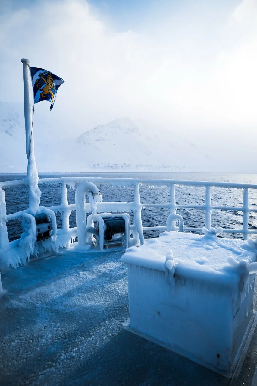 DSC08537-Enhanced-NR Large.jpeg