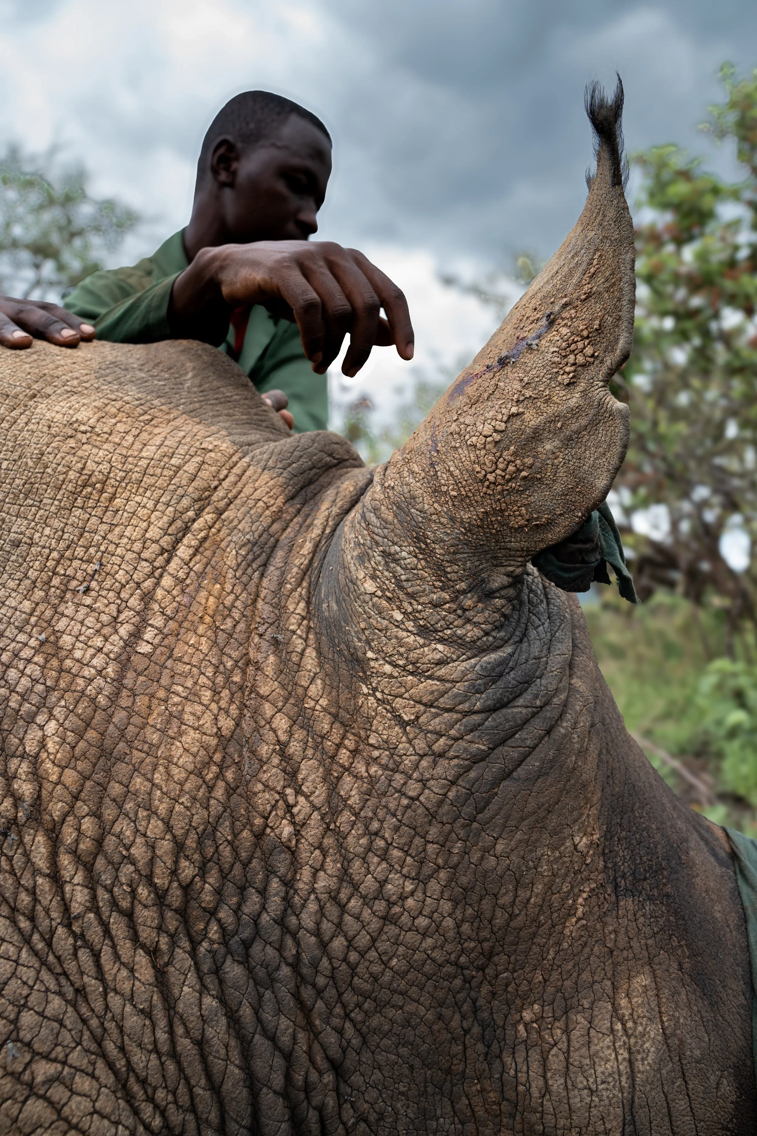 DSC00755 rwanda23 by Will B.jpg