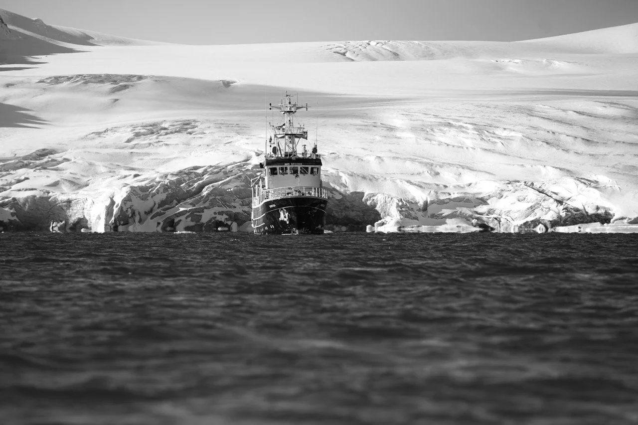 DSC08887-Enhanced-NR Large.jpeg