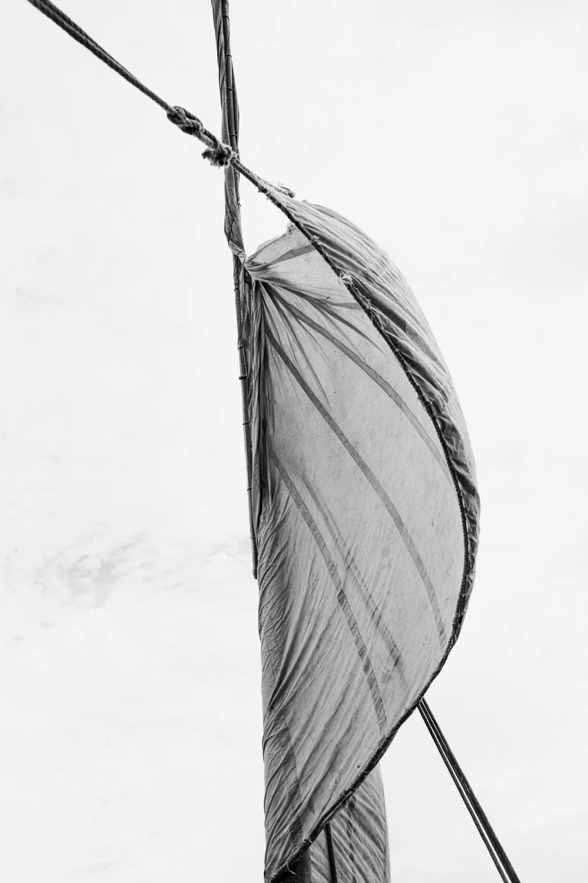 DSC02045-2 Large.jpeg