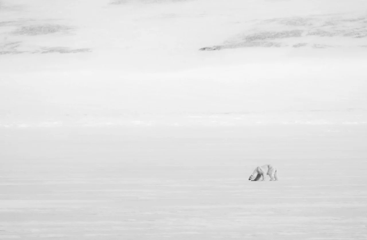 DSC08975-Enhanced-NR-2 Large.jpeg