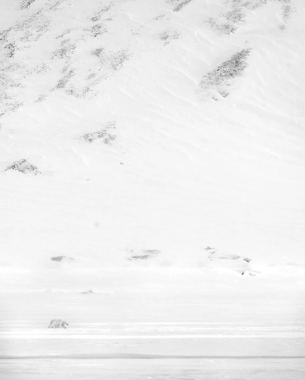 DSC09068-Enhanced-NR-2 Large.jpeg