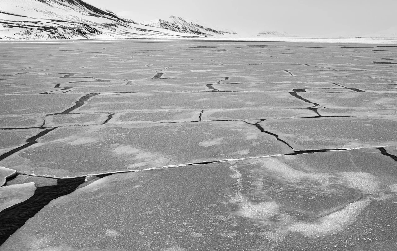 DSC03324-Enhanced-NR-2 Large.jpeg