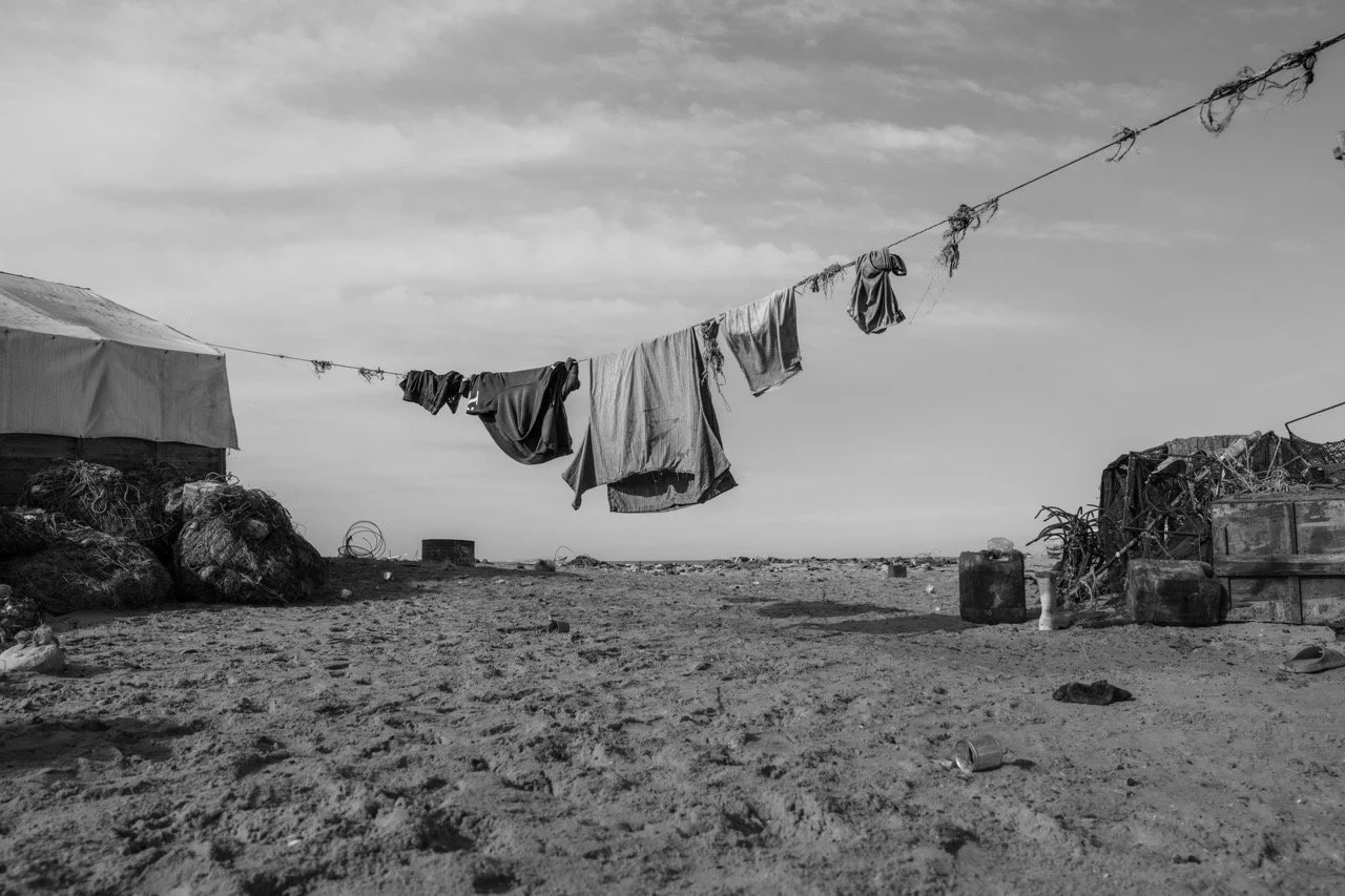 DSC01869-3 Large.jpeg