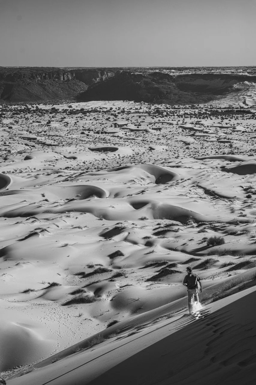 DSC02611-2 Large.jpeg