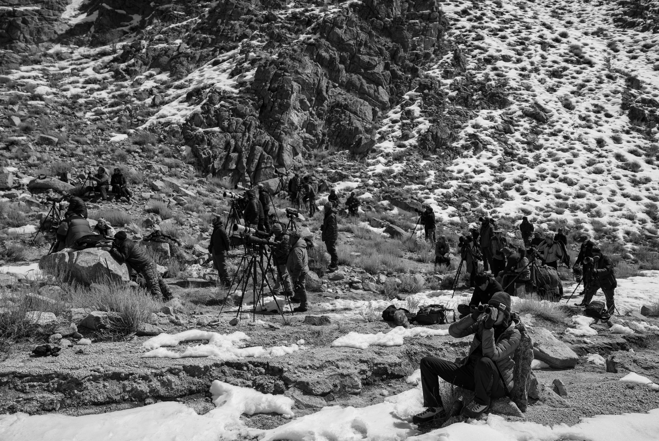 Leopard Valley Watch - B&W (1 of 1).JPG