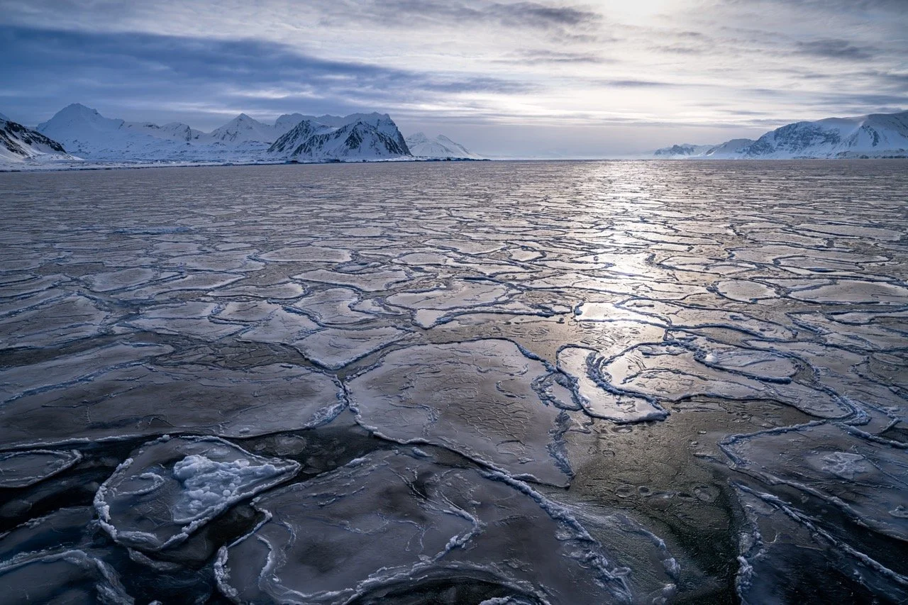 DSC03370-Enhanced-NR Large.jpeg