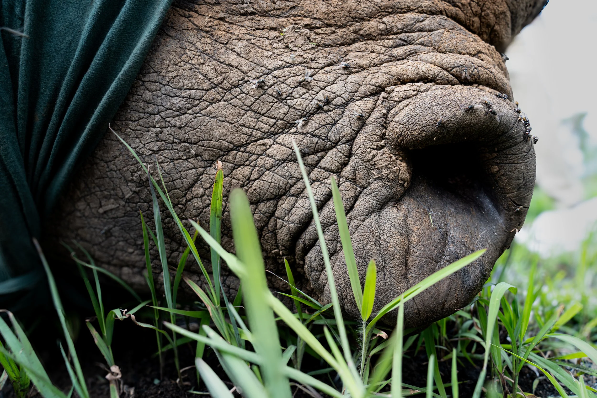 DSC00766 rwanda23 by Will B.jpg