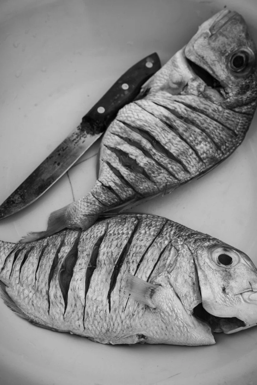 DSC02094-2 Large.jpeg