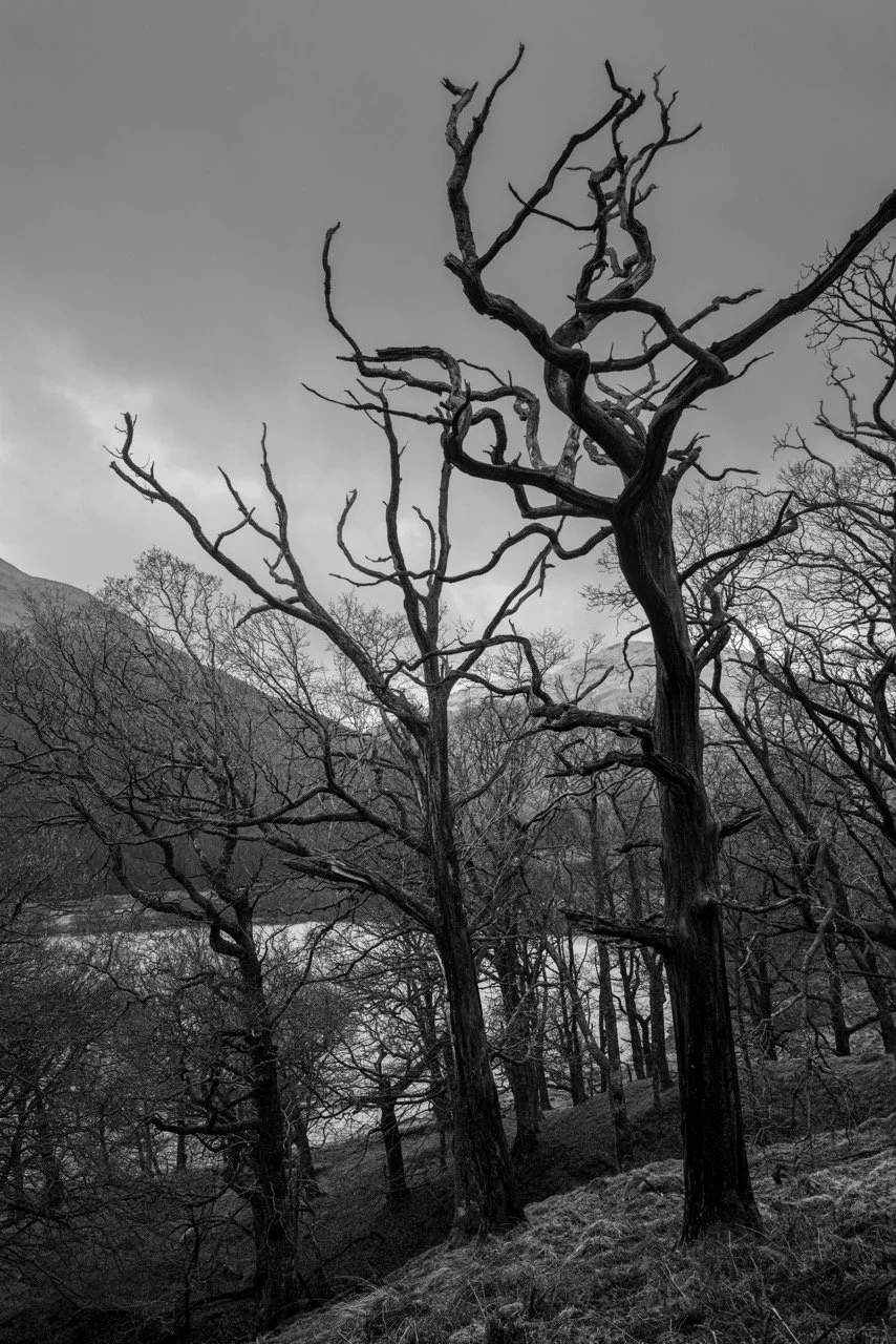 L1000830-2 Large.jpeg