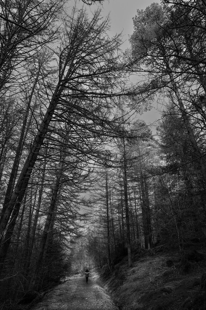 L1000871-2 Large.jpeg