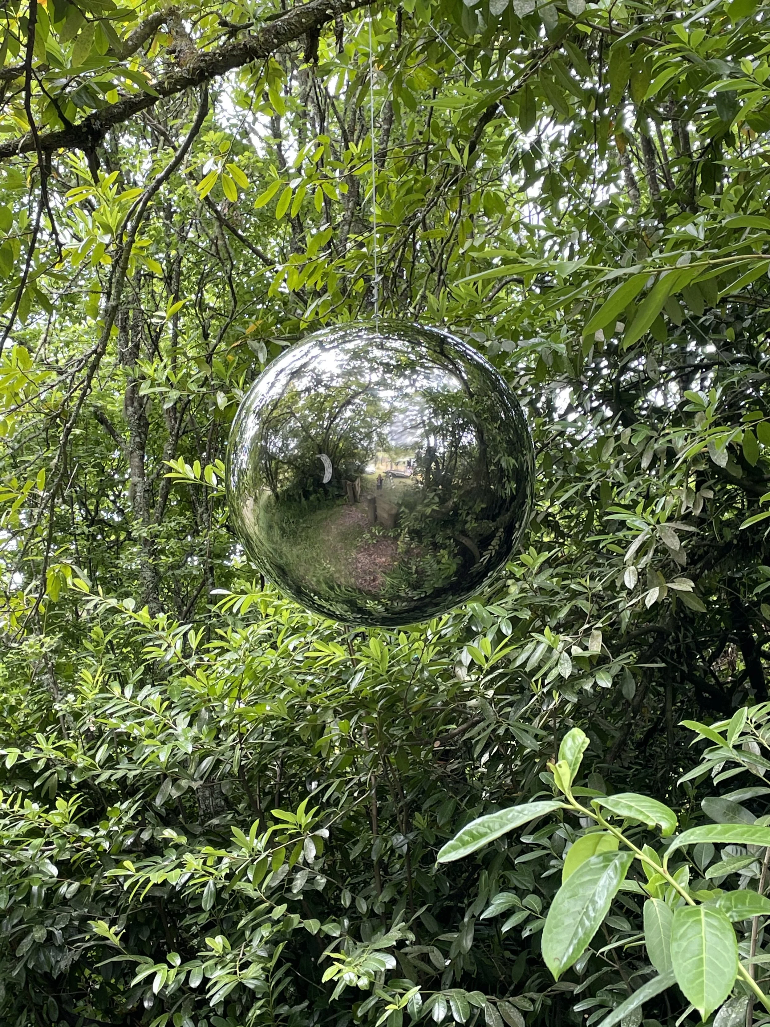 Lumina
Mirror-polished steel spheres suspended in a living tree reflect light, air, and sky — a quiet meditation on presence and transformation.