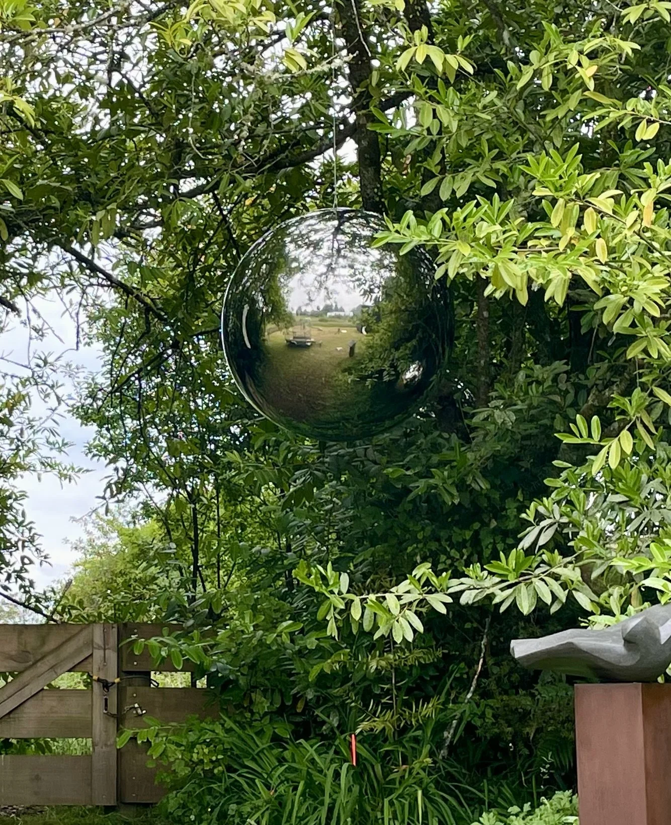 Lumina
Mirror-polished steel spheres suspended in a living tree reflect light, air, and sky — a quiet meditation on presence and transformation.