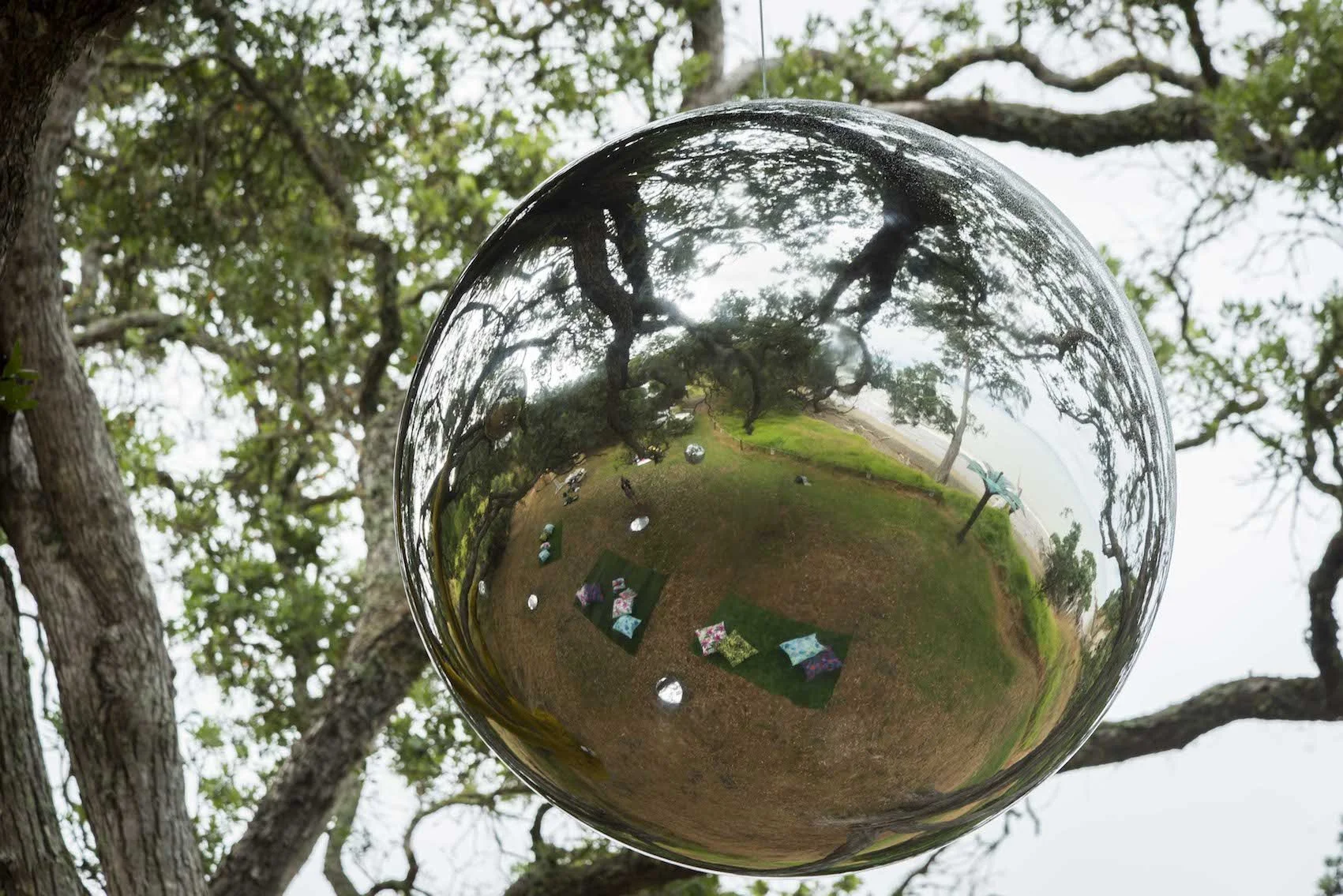 Wonder Tree
Five suspended steel spheres and mirrored discs create an infinity of reflections — light, air, and movement intertwine in a living canopy of wonder.