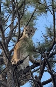 Screenshot 2026-03-28 at 5.49.02 PM.jpg